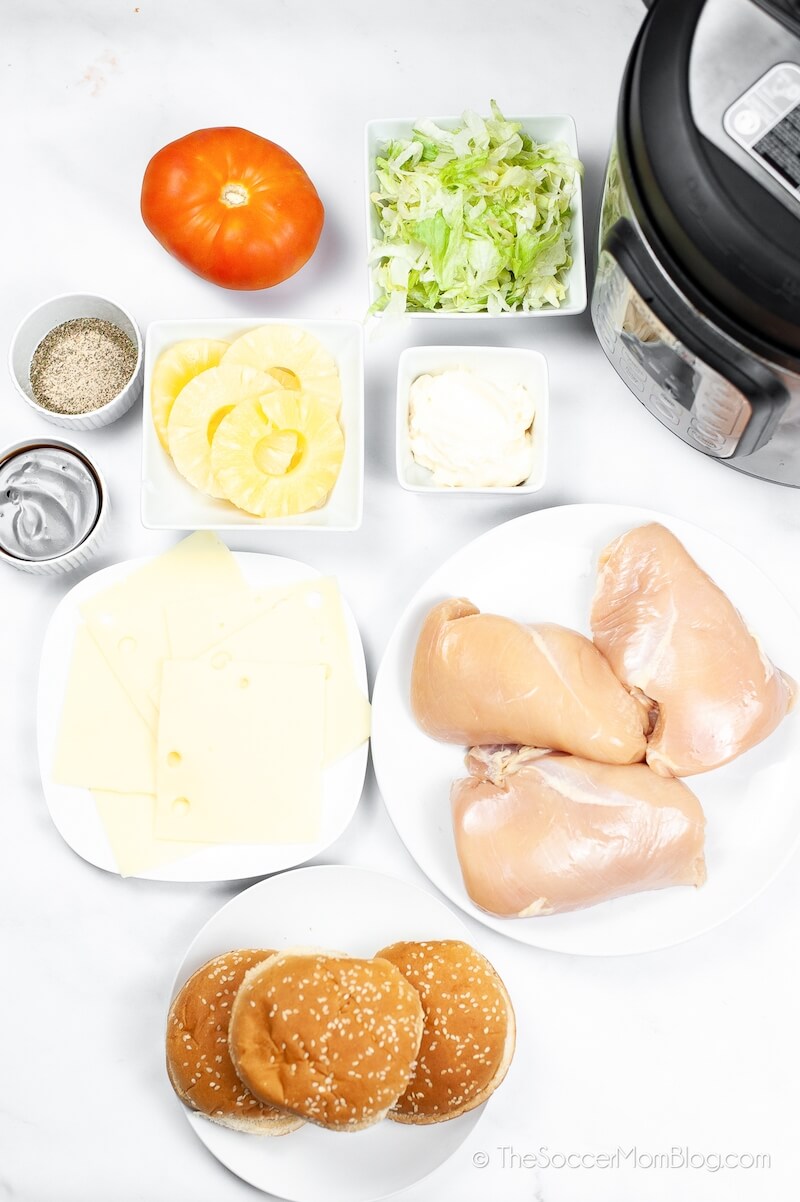 ingredientes para hacer una hamburguesa de pollo teriyaki