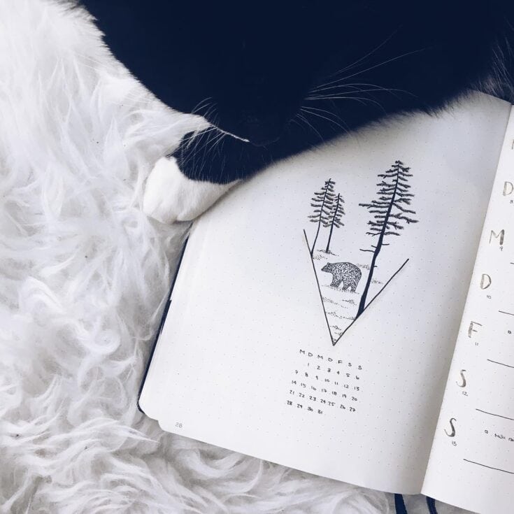 Ideas de Bullet Journal para enero