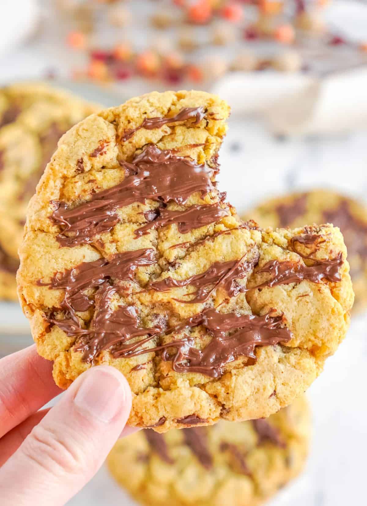 Una galleta de calabaza y chispas de chocolate con un bocado.