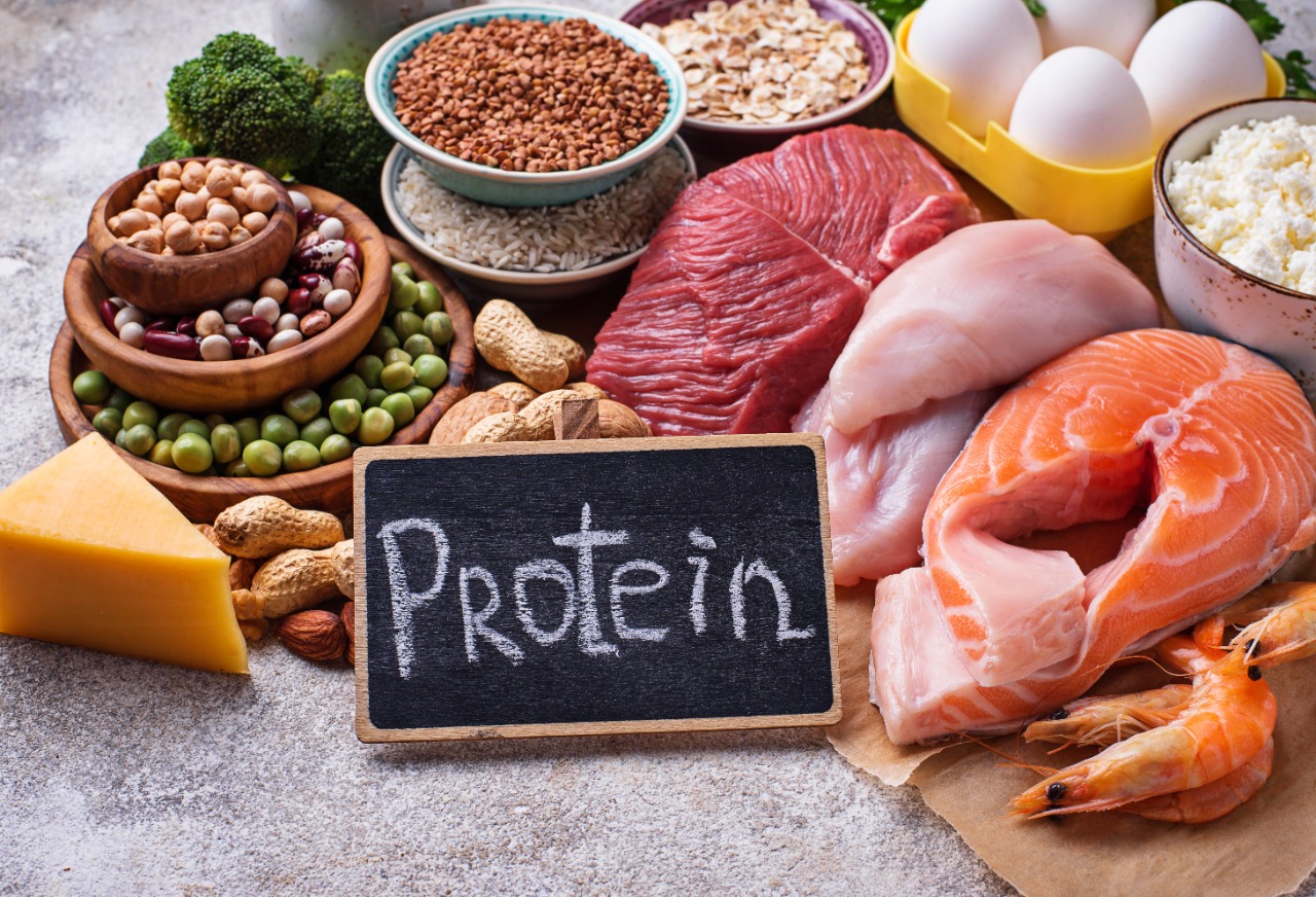 Programa Indio De Dieta Alta En Proteínas Para Bajar De Peso Dieta Baja En Carbohidratos Y Alta 4310